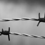 BARBED WIRE